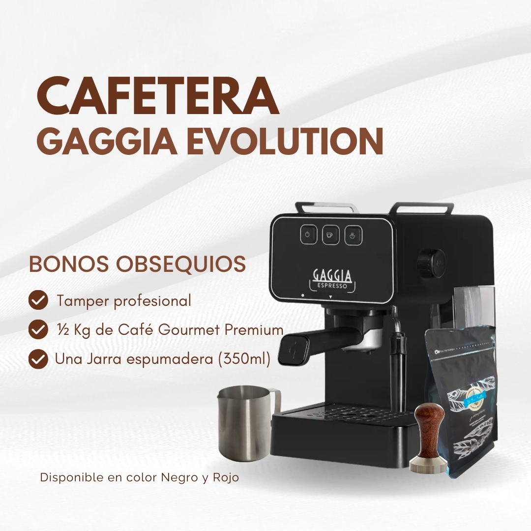Cafetera Gaggia Evolution